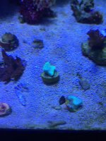 IMG_0125.jpg IMG_0125.jpg