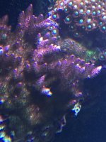 IMG_0130.jpg IMG_0130.jpg