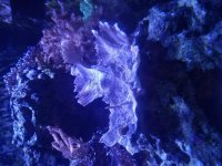 20170102_121136.jpg