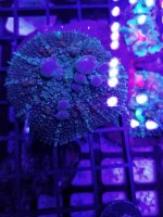 IMG_8224.JPG