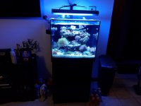 20180116_192533.jpg