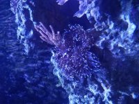20170102_121133.jpg