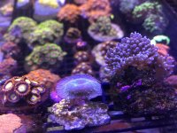 IMG_1725.jpg