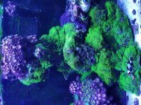 20171014_114013.jpg