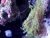 20180116_192644.jpg