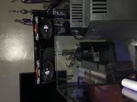 IMG_0429.jpg