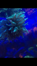 IMG_0069.jpg