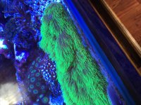 IMG_0066.jpg