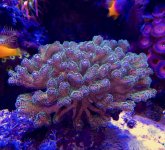 IMG_7909.jpg