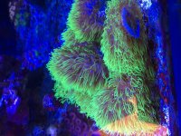 IMG_0075.jpg