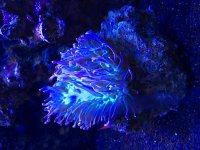 D7E06436-43E0-4BEB-BD5F-5F3378CBD0AA.jpg