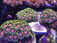 IMG_1069.jpg