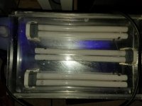 20170312_174620.jpg