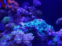 IMG_0087.jpg