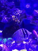 IMG_1148.jpg