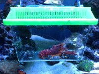 IMG_1779.jpg