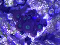 85F9C6AA-DB7A-410A-8C98-E775C6CF80F4.jpg