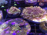 IMG_1082.jpg