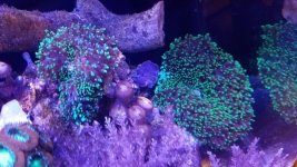 20180117_173728.jpg