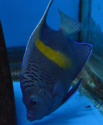 DSC_0198.JPG
