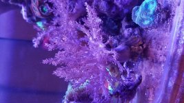 20180117_173645.jpg