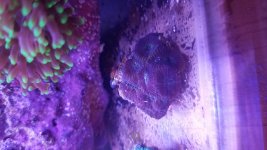 20180117_173705.jpg