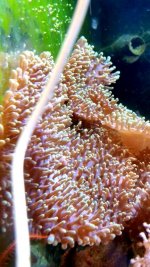 fish05.jpg