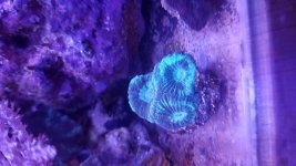 20180117_173656.jpg
