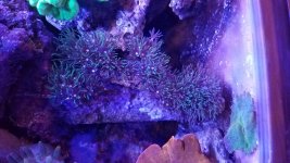 20180117_173920.jpg
