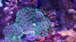 20180116_131404.jpg