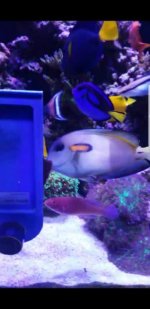 Screenshot_20170724-101050.jpg