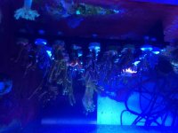 IMG_1876.jpg