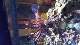 20171015_124402.jpg