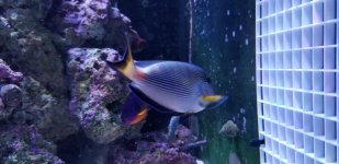 20180406_181826.jpg