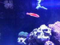 IMG_2133.jpg