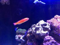 IMG_2138.jpg