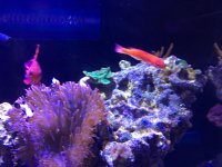 IMG_2137.jpg