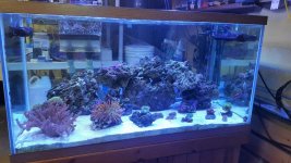 20170629_153441 (2).jpg