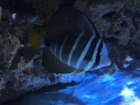 IMG_0037.jpg