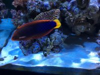 IMG_0530.jpg