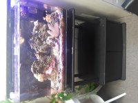 20180118_133559.jpg