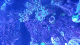 20180703_175320.jpg