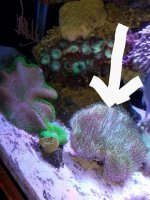 20170105_104553.jpg