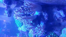 20180703_175330.jpg