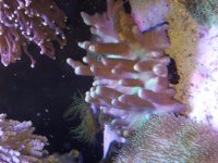 20161201_181011.jpg