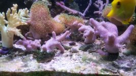 20171216_142333.jpg