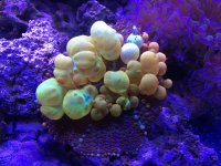 D871B075-2CC1-4F8C-A96F-1714690F5A0E.jpg