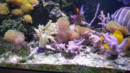 20171216_142328.jpg