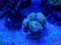20170513_102826.jpg