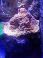 20180119_125306_resized.jpg